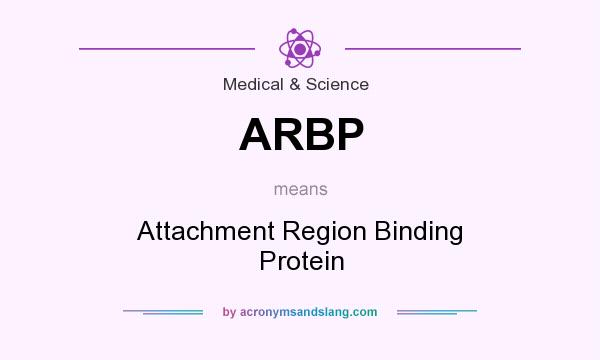 What does ARBP mean? It stands for Attachment Region Binding Protein