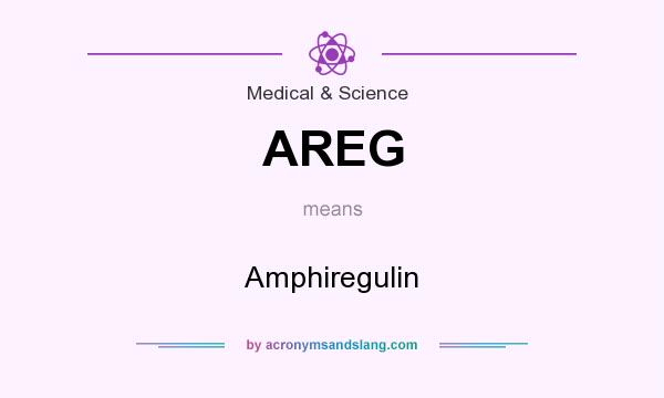 What does AREG mean? It stands for Amphiregulin