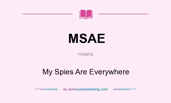 What does MSAE mean? It stands for My Spies Are Everywhere