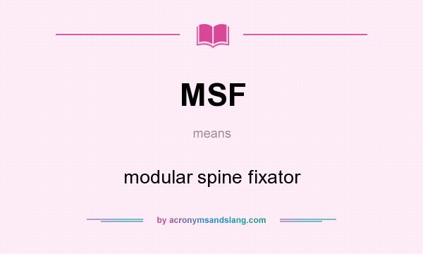 What does MSF mean? It stands for modular spine fixator