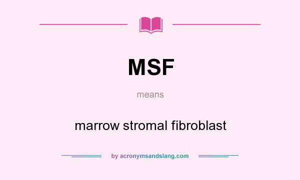 What does MSF mean? It stands for marrow stromal fibroblast
