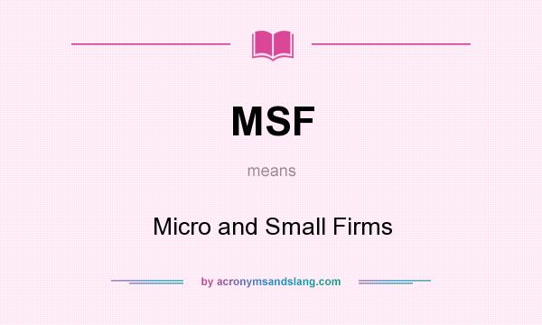 What does MSF mean? It stands for Micro and Small Firms