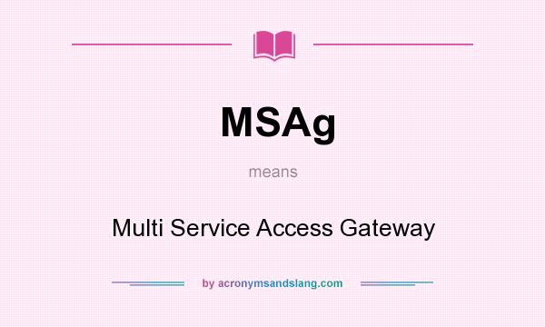 What does MSAg mean? It stands for Multi Service Access Gateway