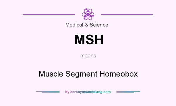What does MSH mean? It stands for Muscle Segment Homeobox