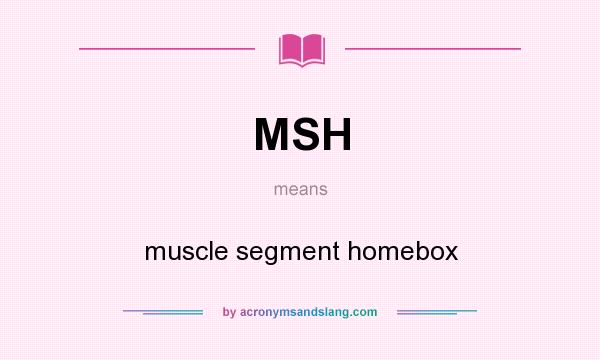 What does MSH mean? It stands for muscle segment homebox