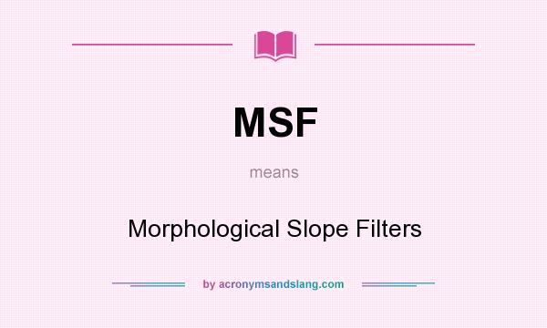 What does MSF mean? It stands for Morphological Slope Filters