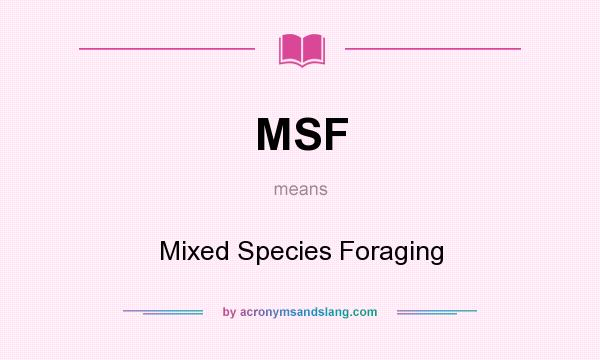 What does MSF mean? It stands for Mixed Species Foraging