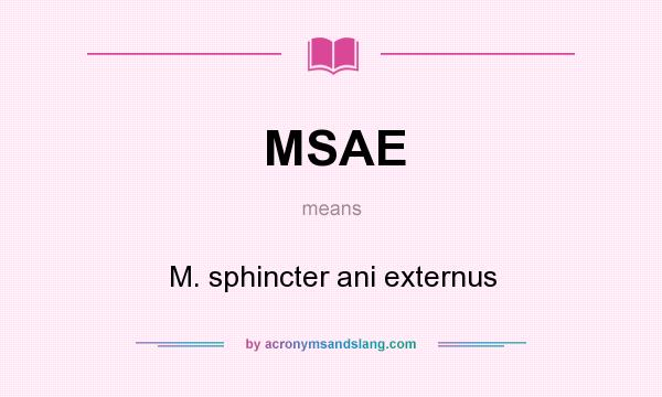 What does MSAE mean? It stands for M. sphincter ani externus