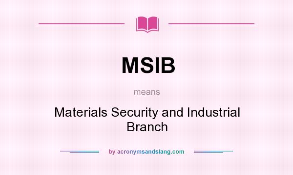 What does MSIB mean? It stands for Materials Security and Industrial Branch