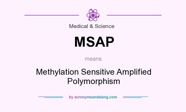 What does MSAP mean? It stands for Methylation Sensitive Amplified Polymorphism