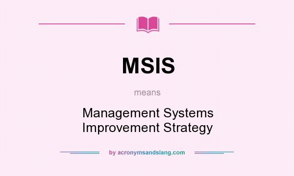 What does MSIS mean? It stands for Management Systems Improvement Strategy
