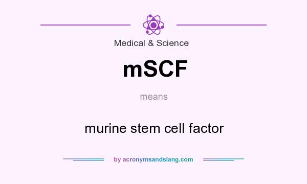What does mSCF mean? It stands for murine stem cell factor