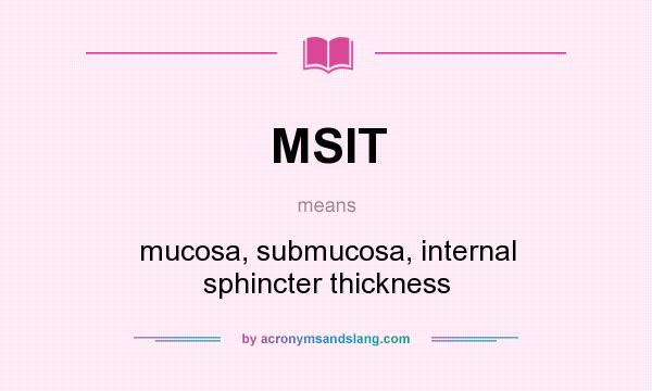 What does MSIT mean? It stands for mucosa, submucosa, internal sphincter thickness