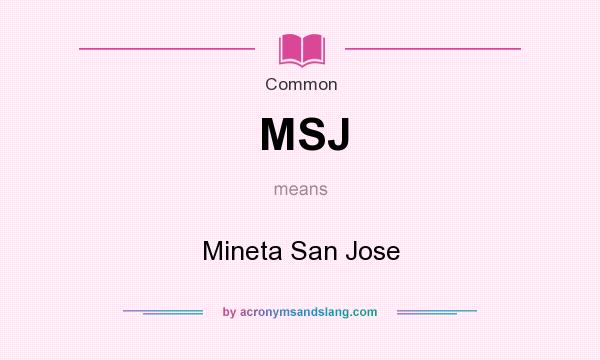 What does MSJ mean? It stands for Mineta San Jose
