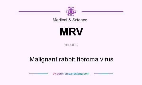 What does MRV mean? It stands for Malignant rabbit fibroma virus