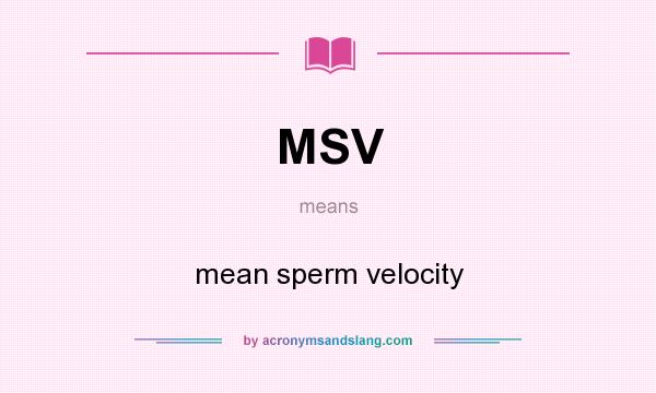 What does MSV mean? It stands for mean sperm velocity