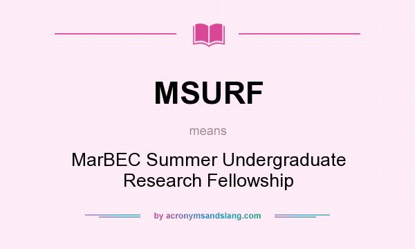 What does MSURF mean? It stands for MarBEC Summer Undergraduate Research Fellowship