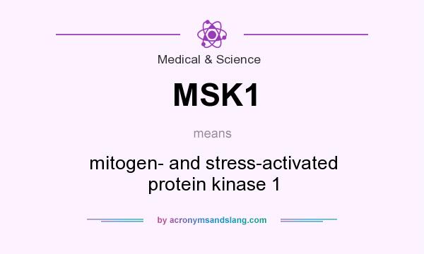 What does MSK1 mean? It stands for mitogen- and stress-activated protein kinase 1