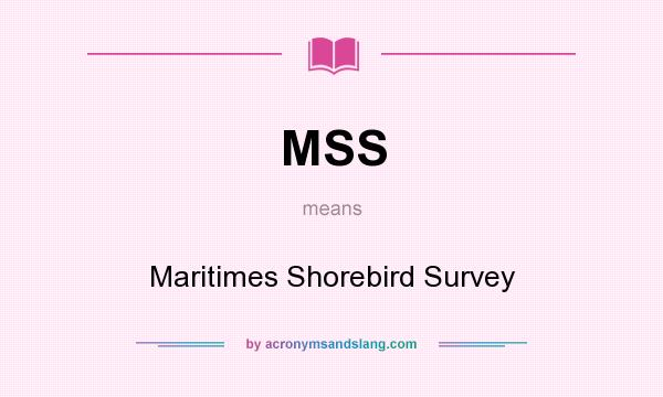 What does MSS mean? It stands for Maritimes Shorebird Survey