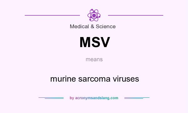 What does MSV mean? It stands for murine sarcoma viruses