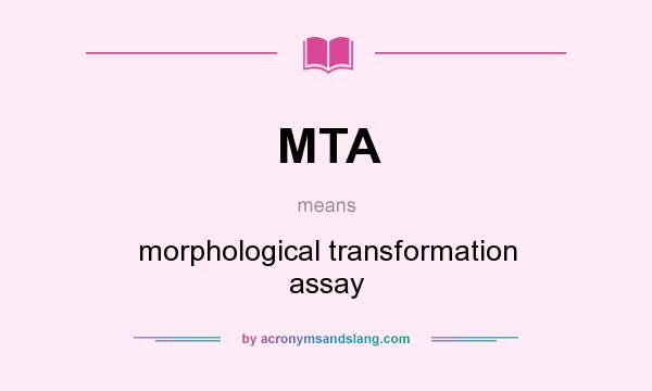 What does MTA mean? It stands for morphological transformation assay