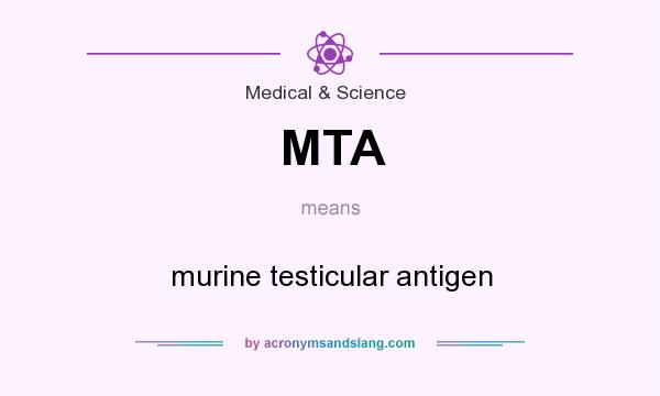 What does MTA mean? It stands for murine testicular antigen