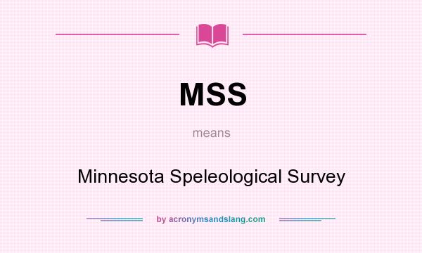 What does MSS mean? It stands for Minnesota Speleological Survey