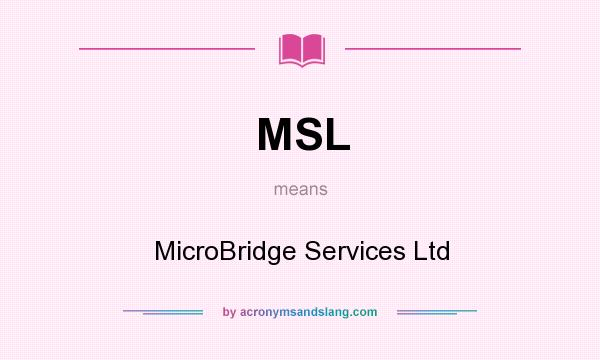What does MSL mean? It stands for MicroBridge Services Ltd