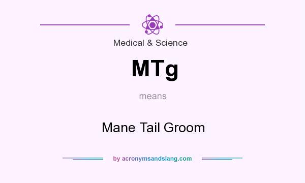 What does MTg mean? It stands for Mane Tail Groom