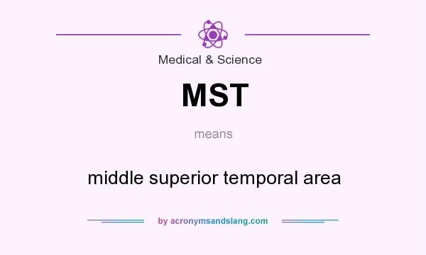 What does MST mean? It stands for middle superior temporal area