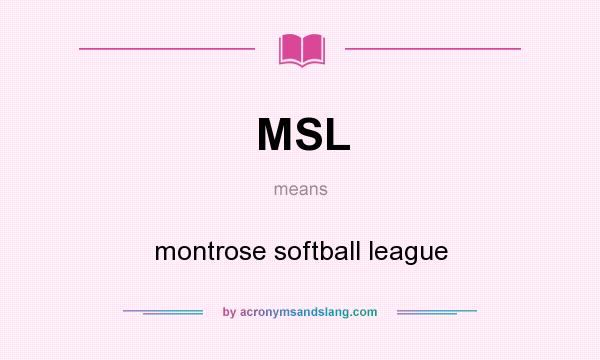 What does MSL mean? It stands for montrose softball league