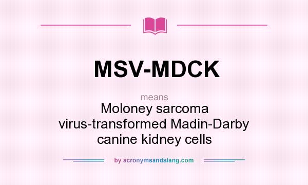 What does MSV-MDCK mean? It stands for Moloney sarcoma virus-transformed Madin-Darby canine kidney cells