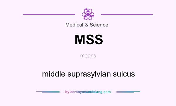 What does MSS mean? It stands for middle suprasylvian sulcus
