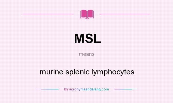 What does MSL mean? It stands for murine splenic lymphocytes
