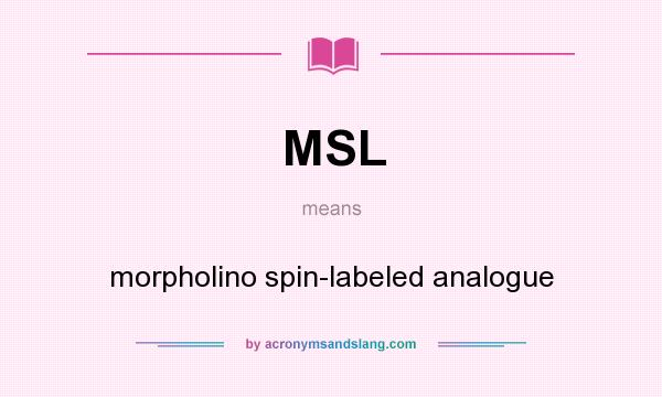 What does MSL mean? It stands for morpholino spin-labeled analogue