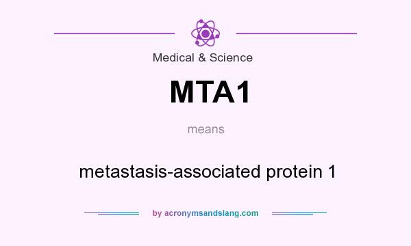 What does MTA1 mean? It stands for metastasis-associated protein 1