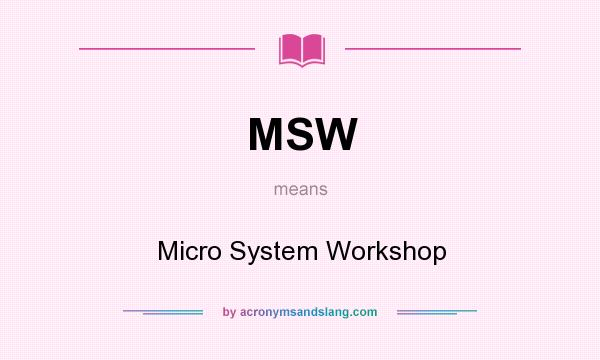 What does MSW mean? It stands for Micro System Workshop