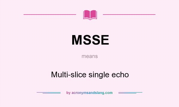 What does MSSE mean? It stands for Multi-slice single echo