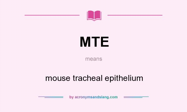 What does MTE mean? It stands for mouse tracheal epithelium