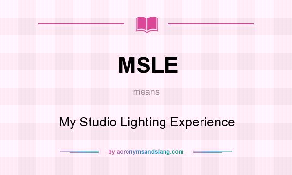 What does MSLE mean? It stands for My Studio Lighting Experience