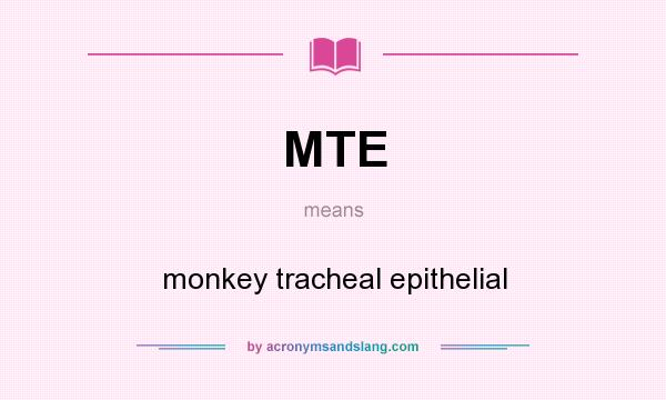 What does MTE mean? It stands for monkey tracheal epithelial