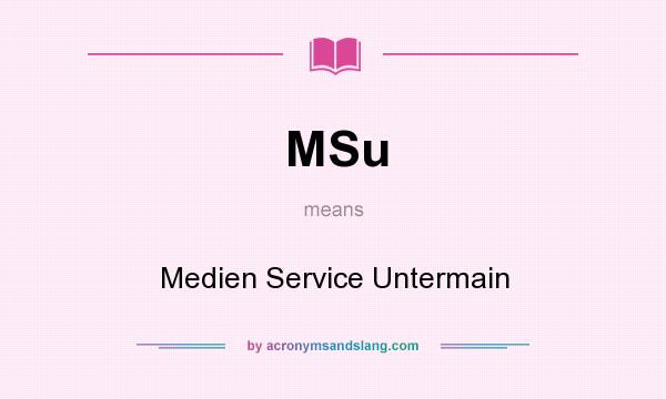What does MSu mean? It stands for Medien Service Untermain