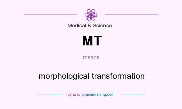 What does MT mean? It stands for morphological transformation