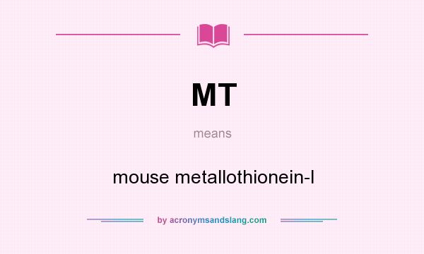 What does MT mean? It stands for mouse metallothionein-I