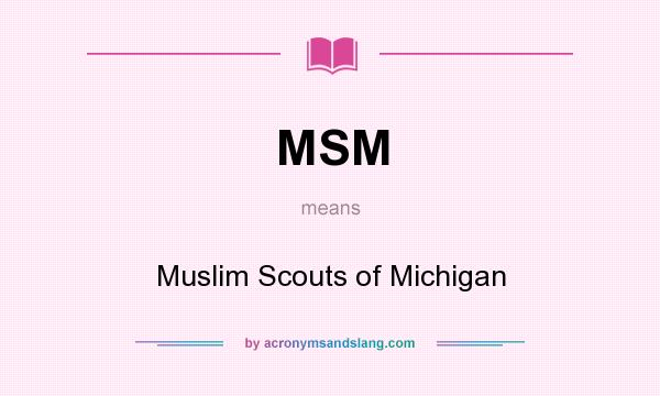 What does MSM mean? It stands for Muslim Scouts of Michigan