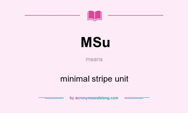 What does MSu mean? It stands for minimal stripe unit
