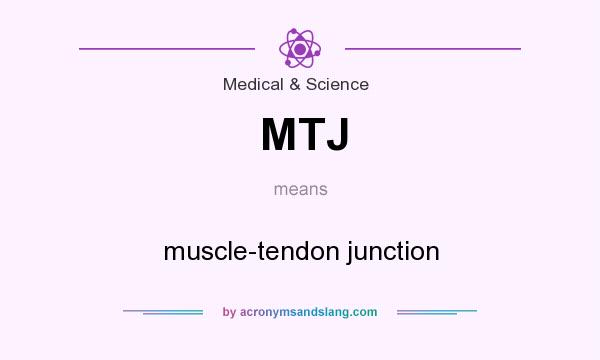 What does MTJ mean? It stands for muscle-tendon junction
