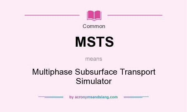 What does MSTS mean? It stands for Multiphase Subsurface Transport Simulator