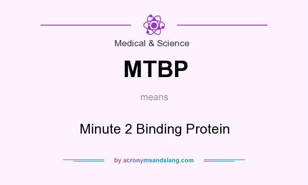 What does MTBP mean? It stands for Minute 2 Binding Protein