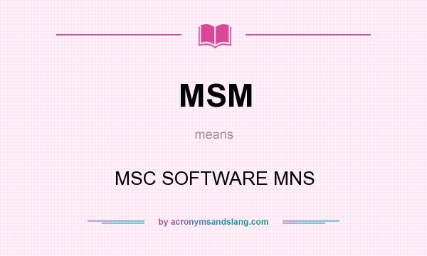 What does MSM mean? It stands for MSC SOFTWARE MNS